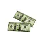 Black Ice 2pc Money Hair Grippers | BIC011MON